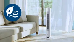 Erfrischender natürlicher Wind
