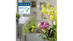 Certificeret allergivenlig