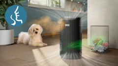 Captează mirosurile şi gazele