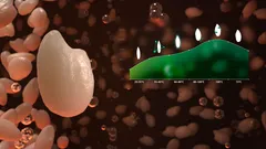 Intelligent cooking curve