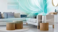 Aire húmedo, bien distribuido