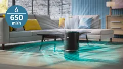 Befeuchtungsrate von 650 ml/h