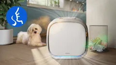 Capture smells and gases