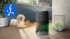 Piège les odeurs et les gaz