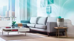 Air humidifié réparti uniformément