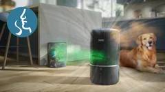 Fängt Gerüche und Gase ein