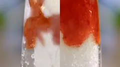 ProBlend-system