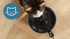 Morrhårsvänlig, purr-fekt passform