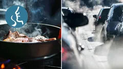 Cattura gli odori e i gas