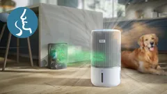 Fängt Gerüche und Gase ein