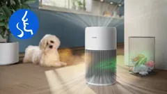 Piège les odeurs et les gaz