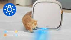 Air feedback & play lights