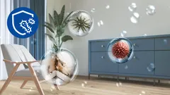 Combat humidité, moisissures et odeurs