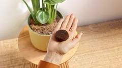 Weniger waste, mehr taste