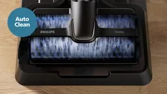 Hygienic Auto-Clean