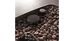 12-step grinder adjustment