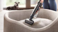 Easy to use, pet accessories