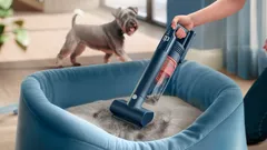 Kraftvoll gegen Tierhaare