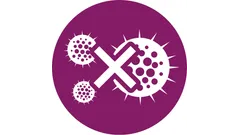 Kills 99.9% of bacteria*