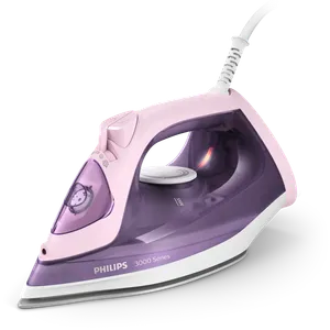 3000 Series Dampstrygejern