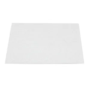 Filtre de protection du moteur