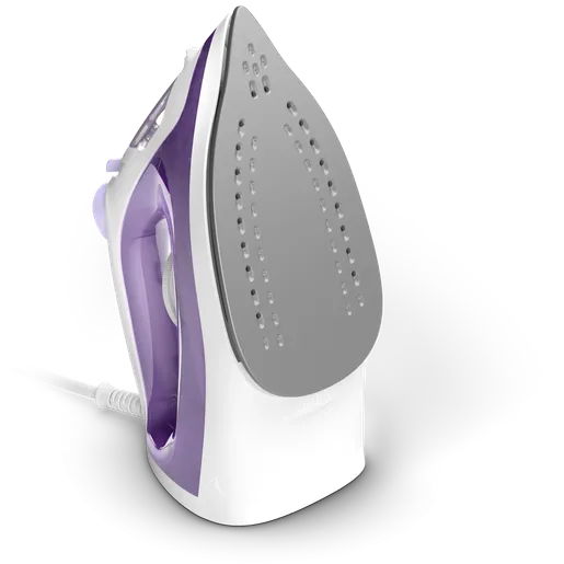 1000 Series Steam Iron