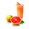 Daily Collection Renoverad Citruspress - Renoverade