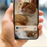 Pet Series Smart foderautomat med kamera