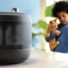 Pet Series Vattenfontän