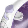 1000 Series Steam Iron