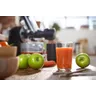 Viva Collection Masticating juicer