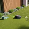 Robot cortacésped Cuidado del jardín