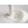 Milk Twister Montalatte elettrico