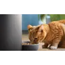 Pet Series Smart foderautomat med kamera