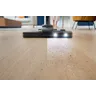 Performer Active Dammsugare med påse - Renoverade
